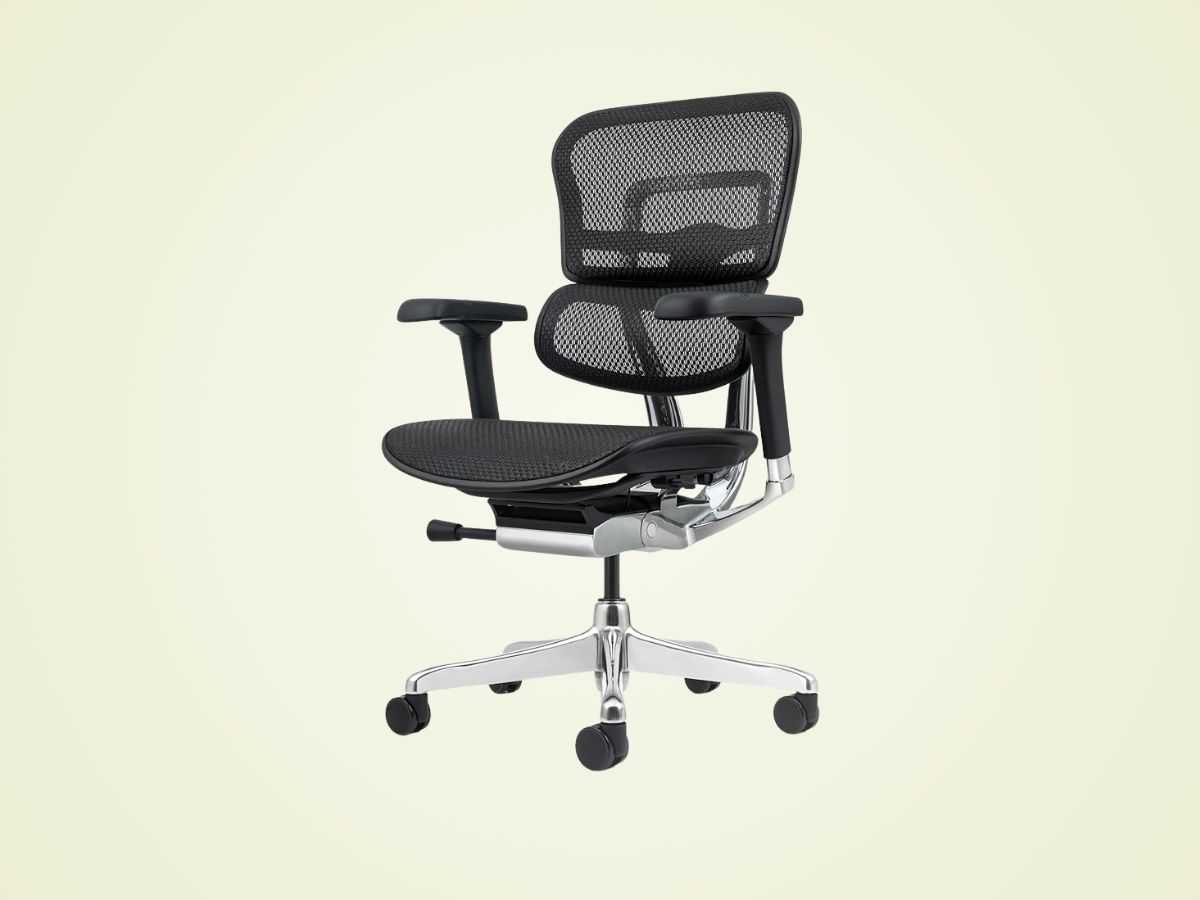 Picture of Eurotech Seating Ergohuman Review: A Throne for the Tall and Task-Oriented