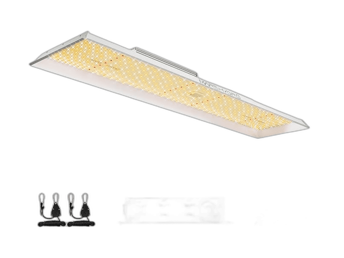 Picture of Mars Hydro TSL2000 LED Grow Light Review: Ultimate Guide for Indoor Gardening