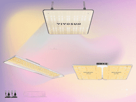 Best LED Grow Lights for Indoor Gardening