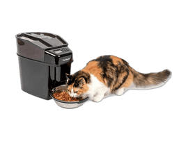 PetSafe Healthy Pet Simply Feed: Reliable Feeding Solution for Busy Pet Owners