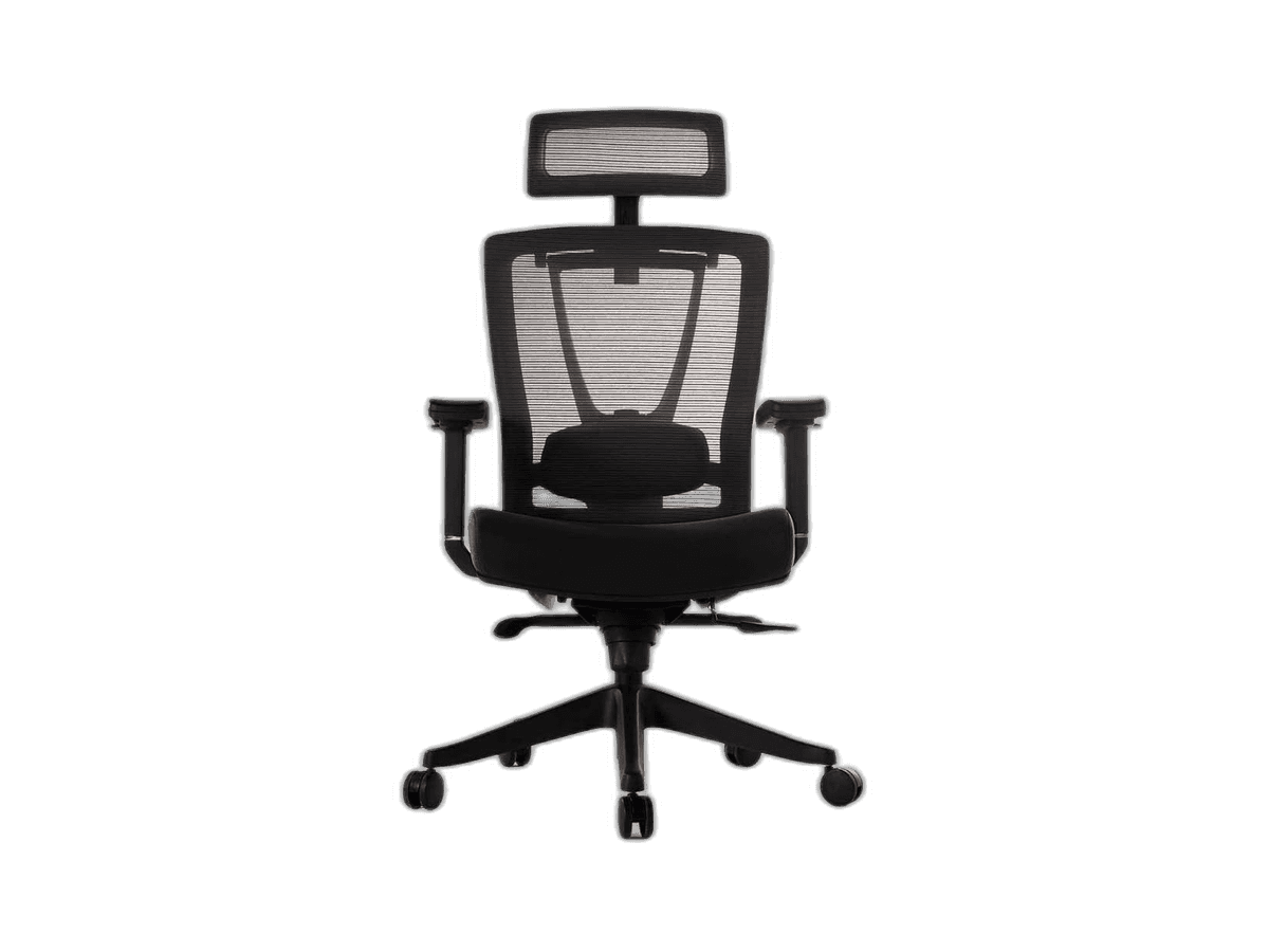 Picture of ErgoChair Pro by Autonomous Review: Mid-Range Ergonomic Excellence