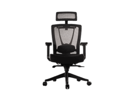 ErgoChair Pro by Autonomous Review: Mid-Range Ergonomic Excellence