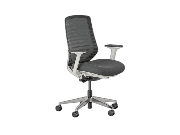 Branch Ergonomic Chair Review: A Mid-Range Marvel for Office Comfort